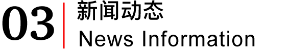 新闻动态